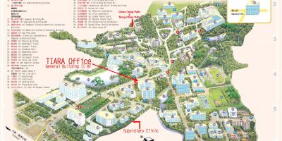 Tsinghua university campus kart